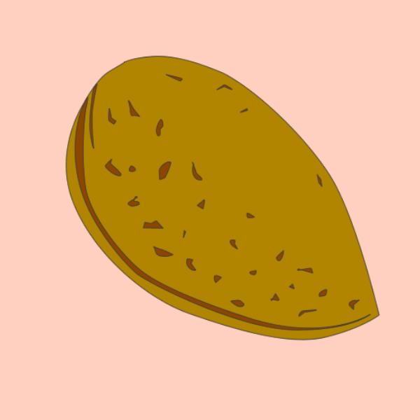 Almendro