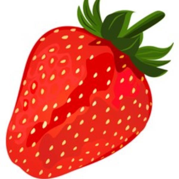 FRESA