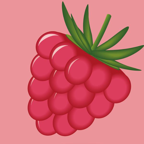 FRAMBUESA